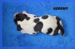G Geremy 21 03 22 1