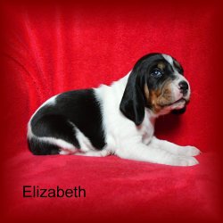 Elizabeth 3 tyden