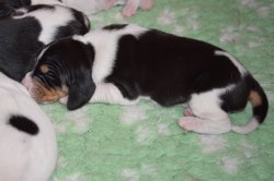 G 21 03 29 Gimli