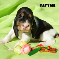 20 04 11 Fatyma