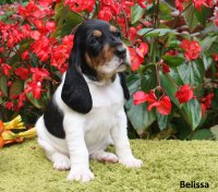 14-10-09-Belissa2