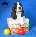 Cliff2 - 5.tyden