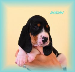 Dorian