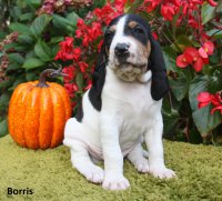 14-10-09-Borris1