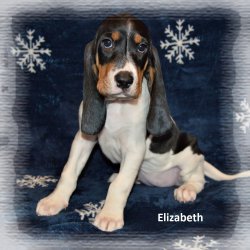 Elizabeth 7 tyden