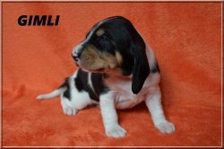 G 21 04 10 Gimli