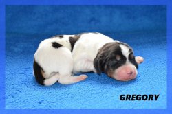 G Gregory 21 03 22 2