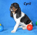 Cyril1 - 5.tyden