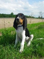 arthur1