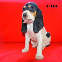21 04 26 Gaia