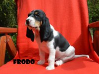 20 04 26 Frodo