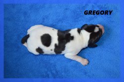 G Gregory 21 03 22 1