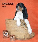 Cristine 1 - 7.tyden