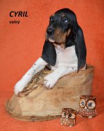 Cyril 1 - 7.tyden