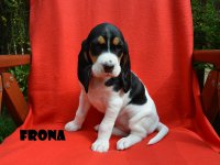 20 04 26 Frona