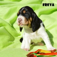 20 04 11 Freya