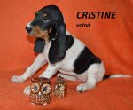 Cristine 2 - 7.tyden