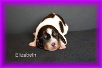 Elizabeth