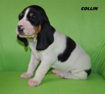 Collin - 4. tyden