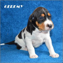 G 21 04 17 Geremy