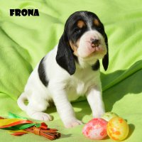20 04 11 Frona