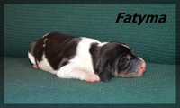 20 03 23 Fatyma
