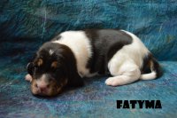 20 04 04 Fatyma