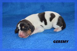 G Geremy 21 03 22 2