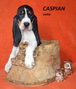 Caspian 1 - 7.tyden