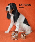 Catherin 2 - 7.tyden