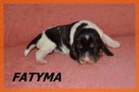 20 03 28 Fatyma