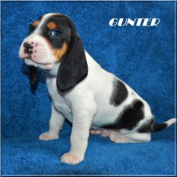G 21 04 17 Gunter