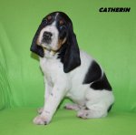 Catherin - 4. tyden