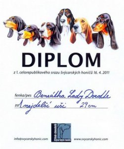 diplom