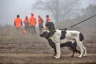 Collin a Darka na nahánce