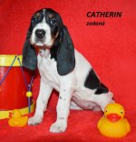 Catherin-6.tyden